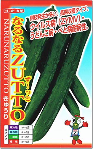 【きゅうり】 Amazon.co.jp: きゅうり 種 【 巨大太丸 】 種子 小袋（約10粒